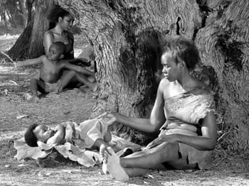 grande-arvore-genealgica