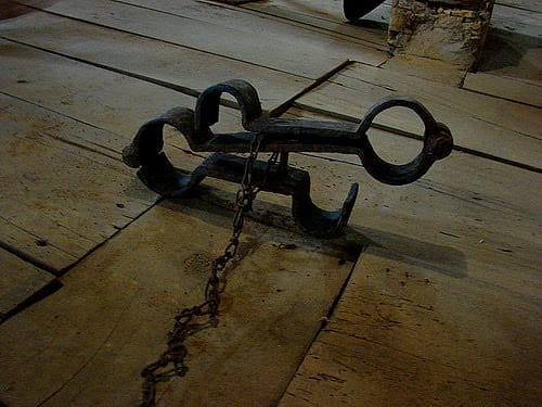 1355568361 5597be5531