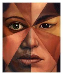 cotas-raciais-geledes