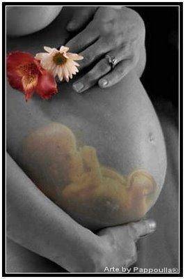 mmortalidade-materna