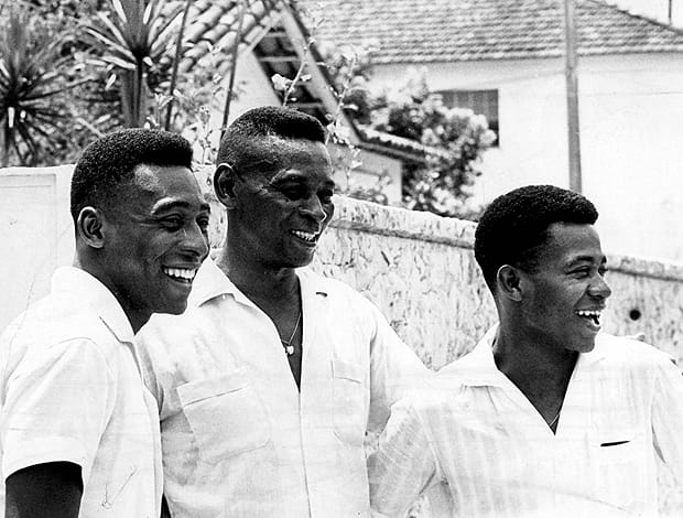 peledodinhozoca_ae62