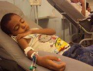 100629d5-7b74-4eb8-b209-685ad2f0889d falciforme 1