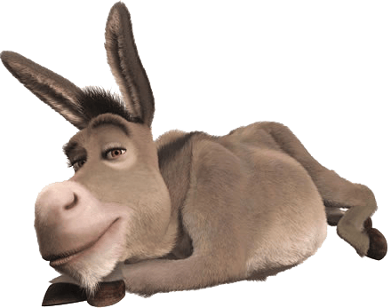 burro2ml97