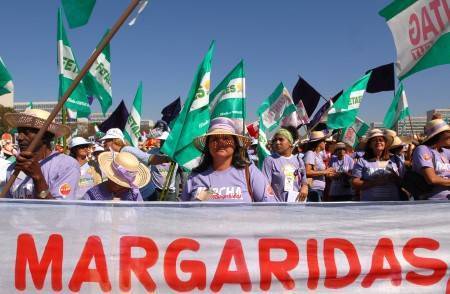 margaridas