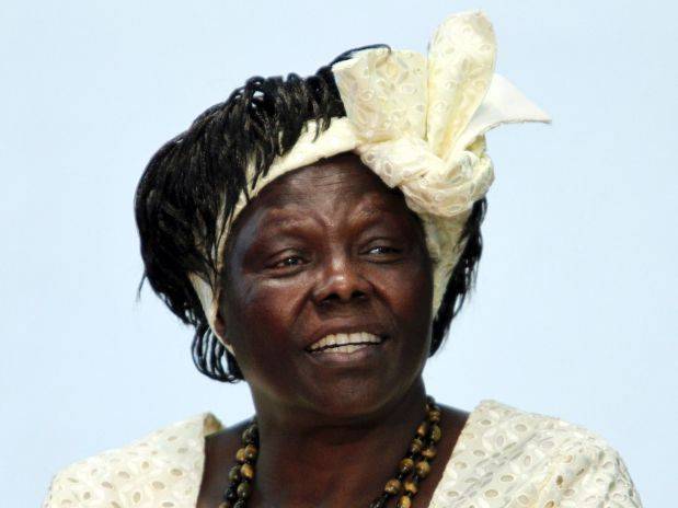 wangari maathai