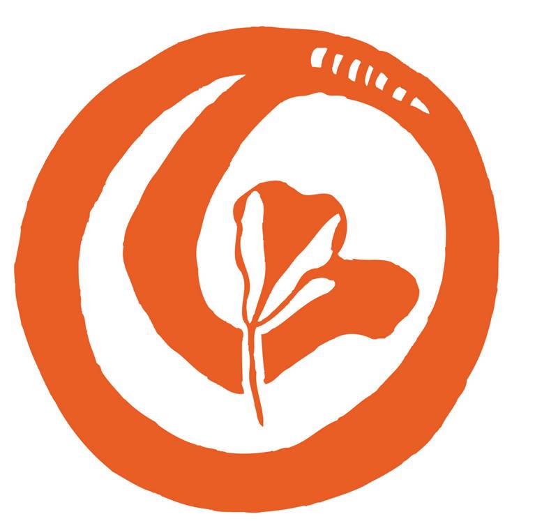 red-de-salud-de-las-mujeres