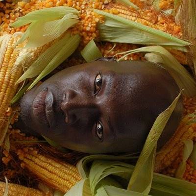 oferenda a cabeca048