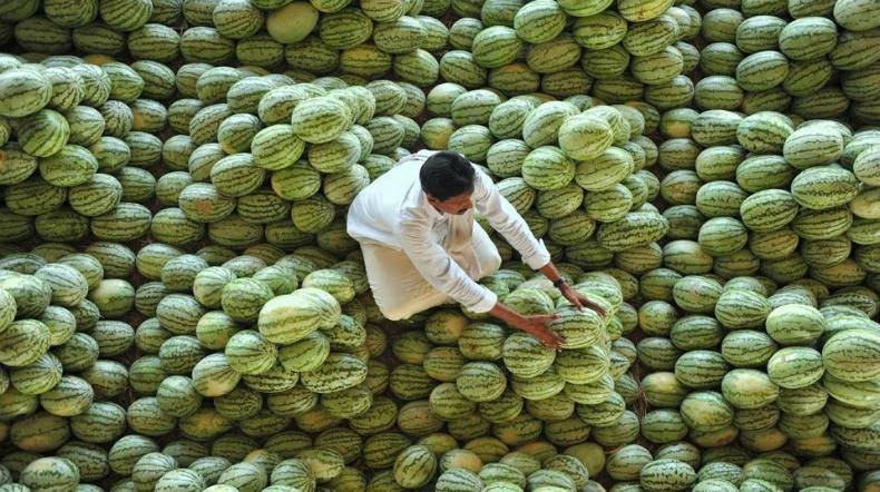 Fazendeiro no mercado de frutas nos arredores de Hyderabad, Índia (Noah Seelam / France-Presse/Getty)