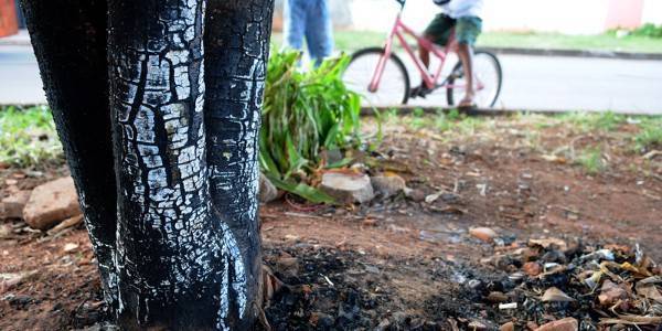 moradores de rua queimados