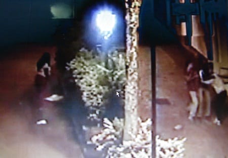 racismo-embu-das-artes