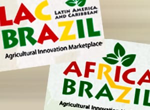 africa lac brasil interna