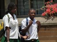 cotas raciais sociais