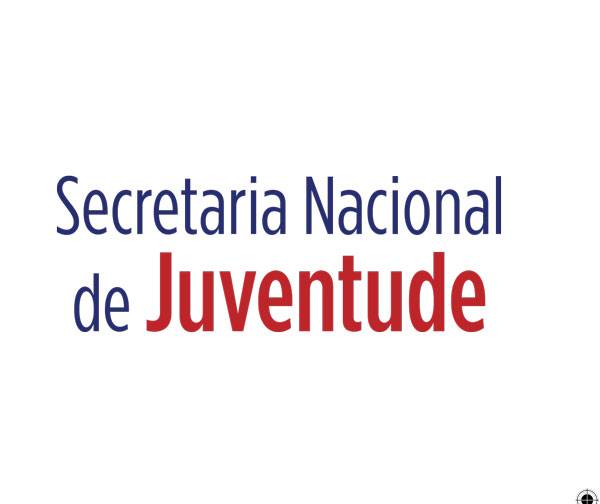 SNJ Folder PoliticasPublicas-copy-1