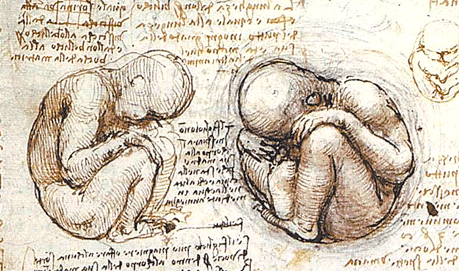 Visão-do-feto-no-útero leonardo-da-vinci 1512 0