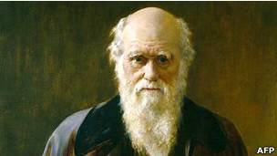 darwin