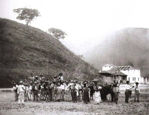 ciclo-do-cafe-123-e1375833919544