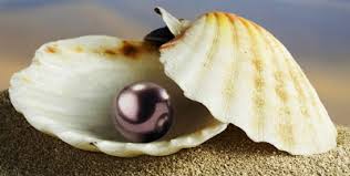 Você quer ser uma Pérola Negra? Então, escreve pra gente.