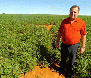 20130829010543204179o-300x257