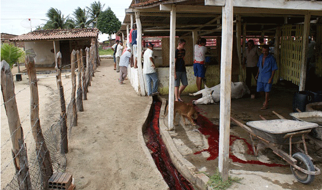 matadouro-no-RN Daniel-Santini