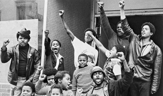 panteras-negras arquivo