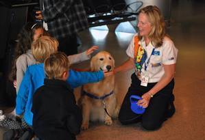 Cães policiais de Los Angeles mordem apenas negros e latinos