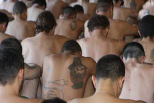 24442fc6ebd8df43173fcba94408ced9