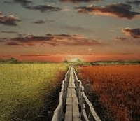 fui criado para= sersubmisso