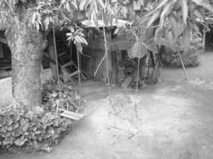 quintal-imagem-300x225