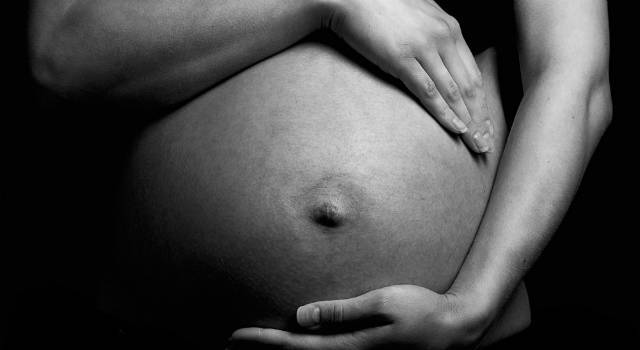 gravida-barriga-shutter