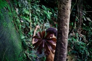 a-alma-de-cada-folha_1