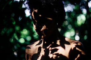 a-alma-de-cada-folha_2