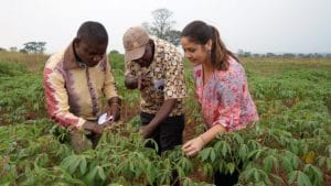 1-yhBsUS5bW8u4-eKFqSVacg