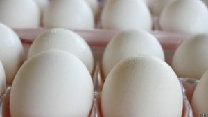 seguranca-alimentar3