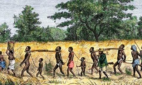 3c1b7312-7aaa-4469-8fc4-d791fb6cac80