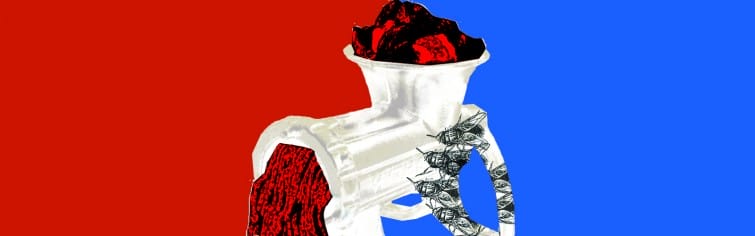 À-esquerda-irmãs-e-irmãos