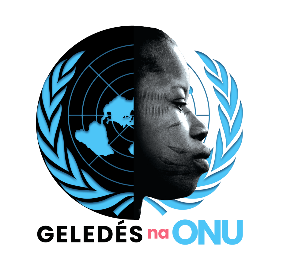 Geledés na ONU, incidencia internacional de Geledés Instituto da Mulher Negra